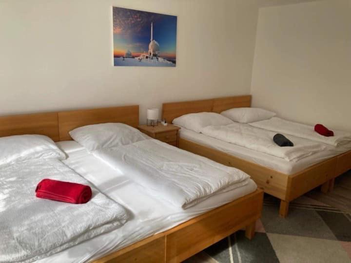 F&F Apartment بايريش أيزنشتاين المظهر الخارجي الصورة